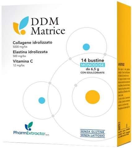 DDM MATRICE 14 BUSTINE