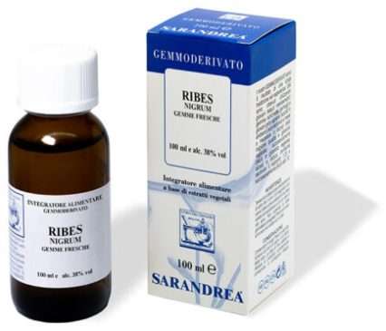 RIBES NIGRUM 100 ML MACERATO GLICERICO